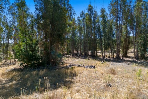 Tiny photo for 1831 Viejo Road, Arroyo Grande, CA 93420 (MLS # PI26175452)