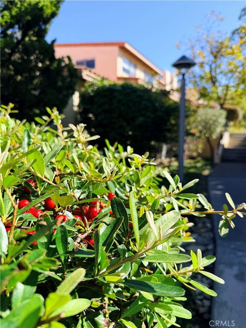 Tiny photo for 28302 Ridgefalls Court, Rancho Palos Verdes, CA 90275 (MLS # AR26214678)