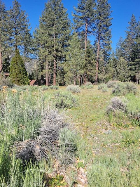 Photo of 2612 Brentwood, Pine Mountain Club, CA 93222 (MLS # SR26106425)