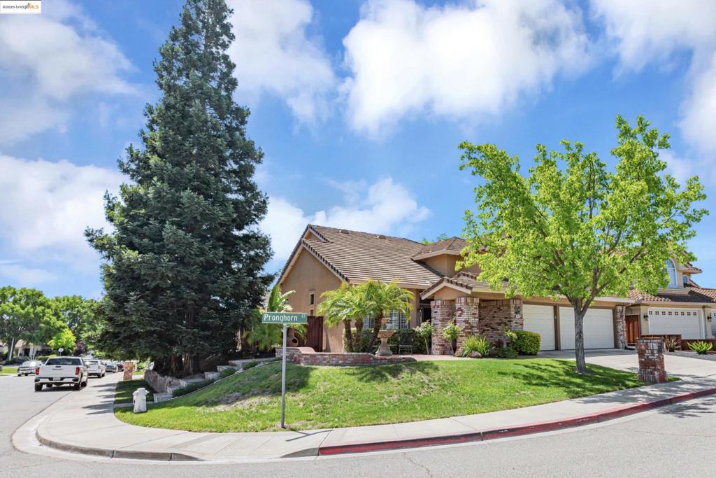 4452 Pronghorn Ct