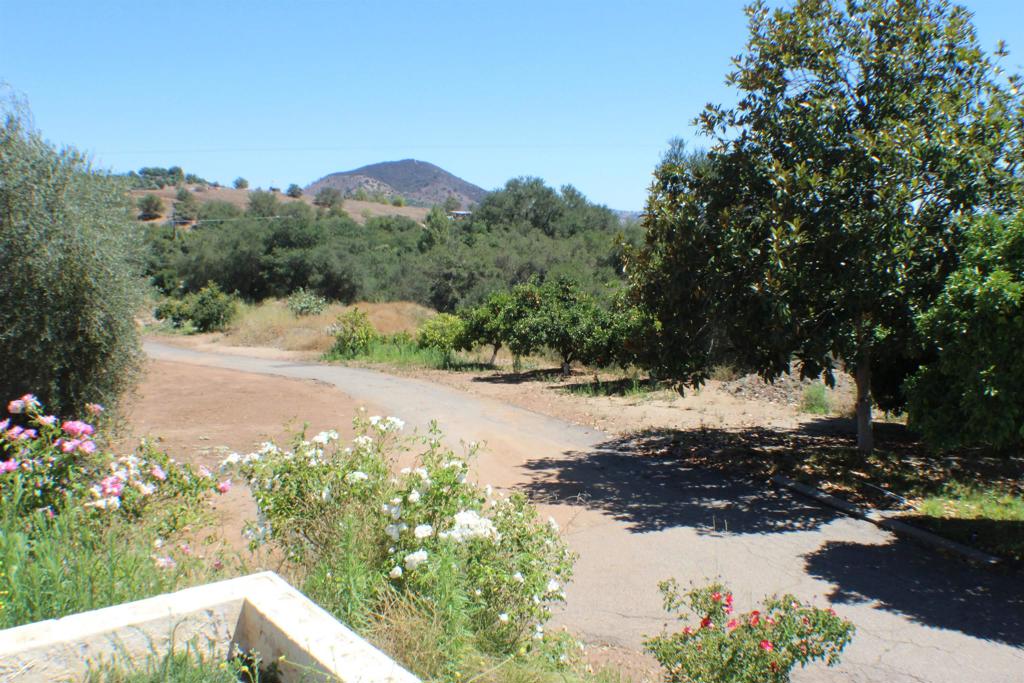 Welcome to 33140 Lilac Road. This stunning single story home sits on 4.66 acres of mostly usable flat land, offering endless possibilities for horses, gardens, or future additions. As you step through the front door your greeted by an expansive view straight through to the backyard and open land beyond, creating a true feeling of space and tranquility. Step inside you'll find 3 specious bedrooms all with their own walk-in closets and bathrooms, a versatile office with its own bathroom that could easily be converted into a fourth bedroom. Tile throughout while the paid off solar makes for great energy savings. Three car garage for plenty of parking or storage, fruit trees scattered throughout. Kitchen is equipped with stainless steel appliances and granite countertops. Don't miss this opportunity to own your own piece of country living just outside the city.