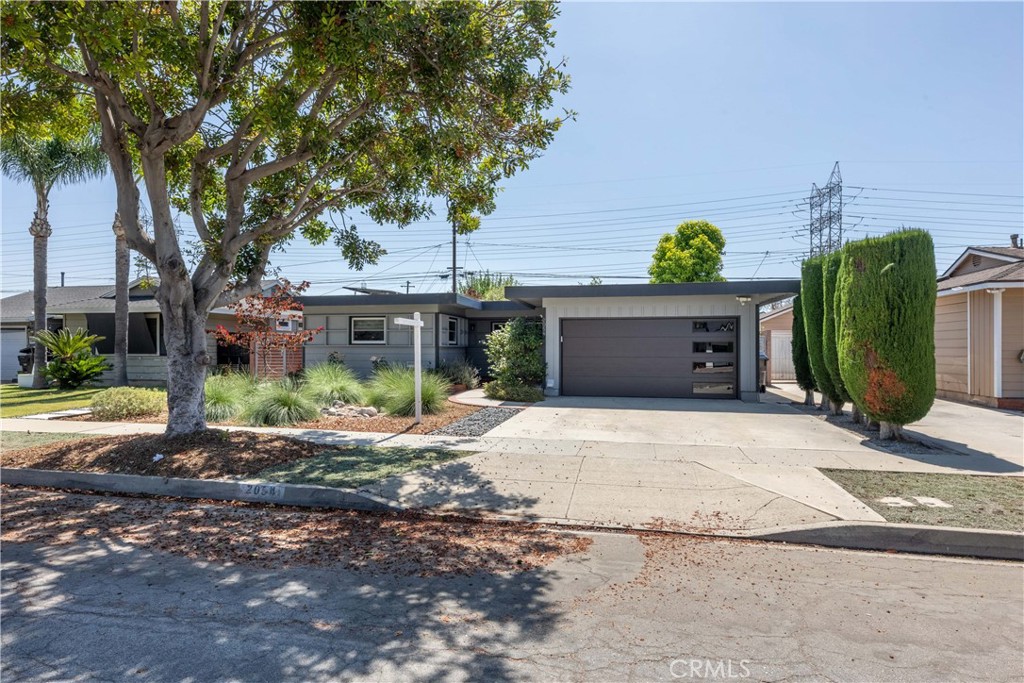 2054 pattiz avenue