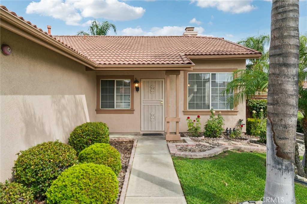 3333 N Daisy Drive
