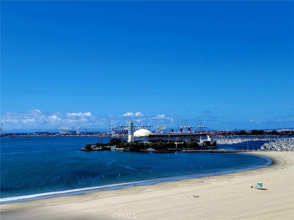 1310 E Ocean 905
