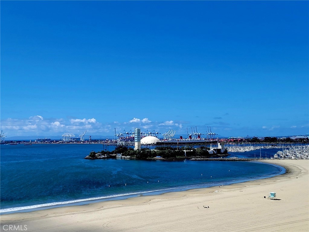 1310 E Ocean 905