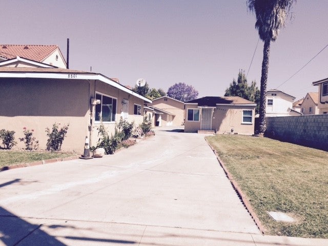 8803 Cedar