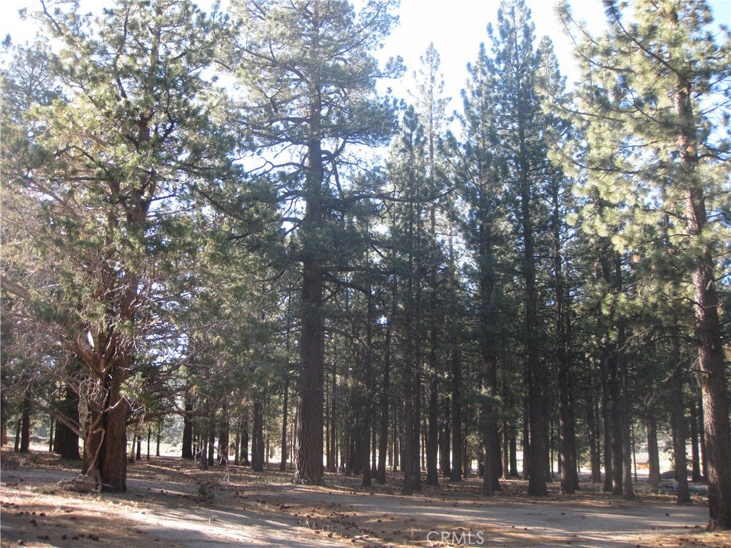 2818 Erwin Ranch Rd