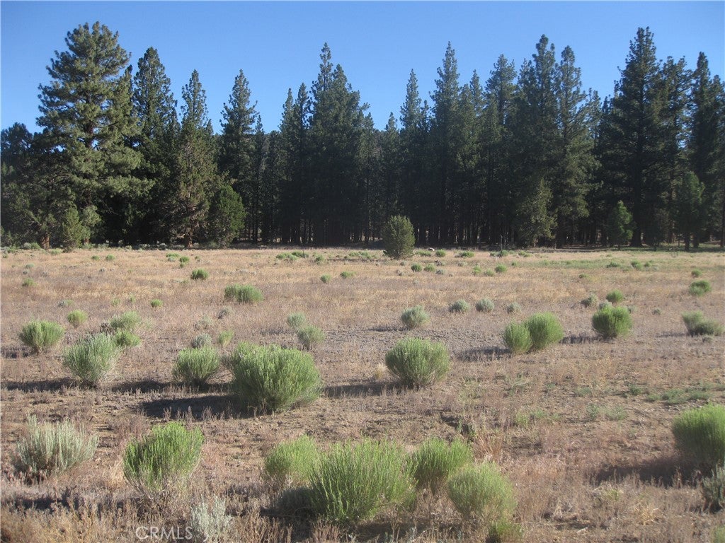2818 Erwin Ranch Rd