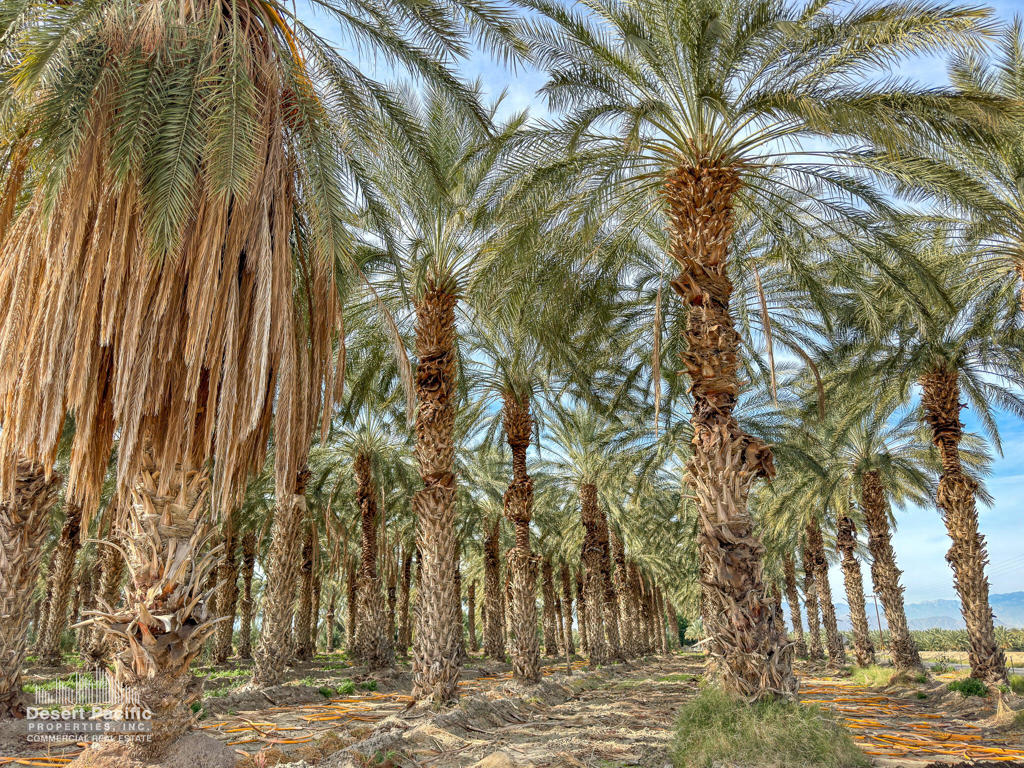 Vista Santa Rosa - Land