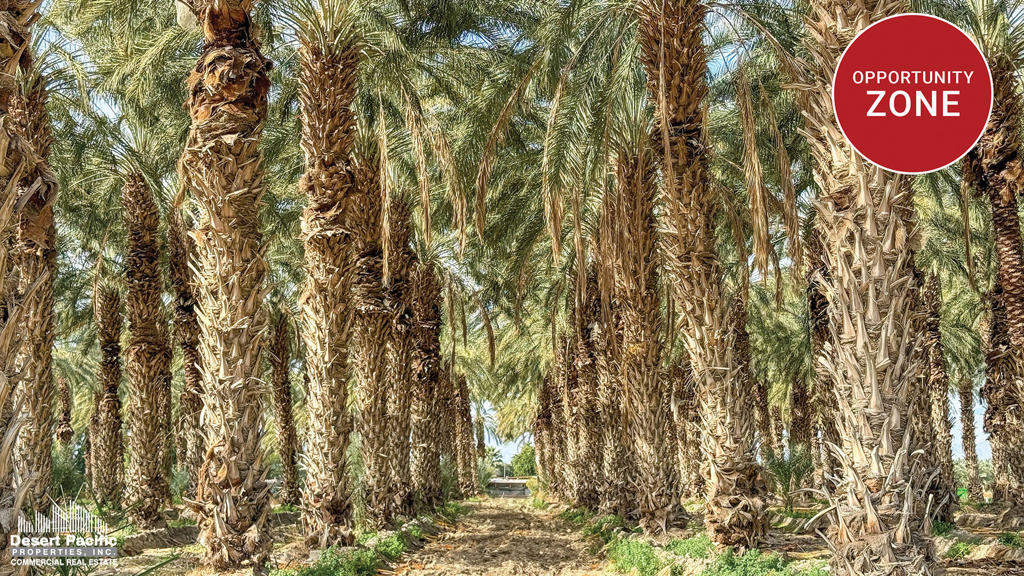 (Piedmont Ranch) All or Part. 20.5 AC - 856.47 AC Portfolio of 8 Ranches. Approx. 1,095 organic deglet noor date trees located on the property. Easy access to Expressway 86 and Highway 111. Just 2 miles from Jacqueline Cochran Regional Airport and 2.5 miles from The Thermal Club, a luxury, private motorsports club. In Opportunity Zone, providing potential tax incentives. Abundant and affordable Coachella Valley Water District (CVWD) irrigation water, one of the lowest water rates in California. *Brochure & Offering Memorandum can be downloadable in 'Document' tab.