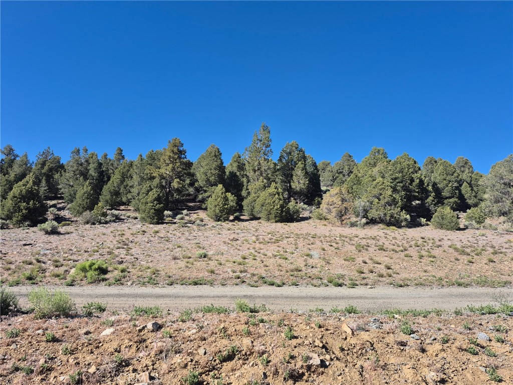 2787 Erwin Ranch