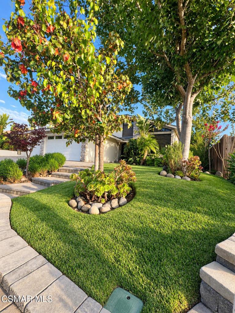 486 Raindance Street