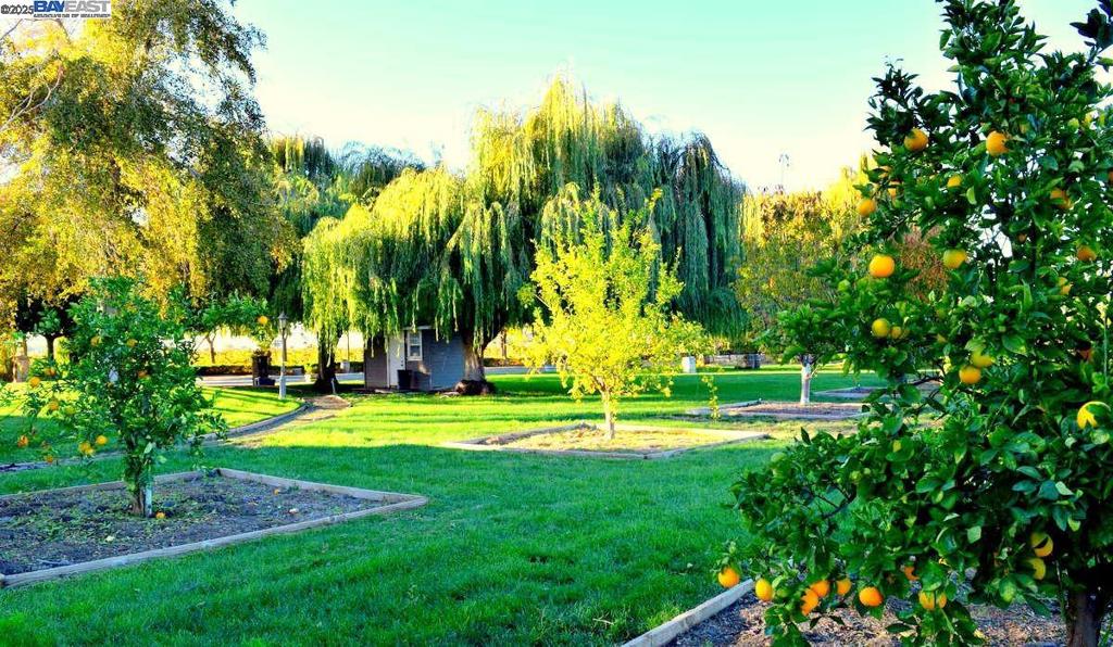 BRENTWOOD - Residential