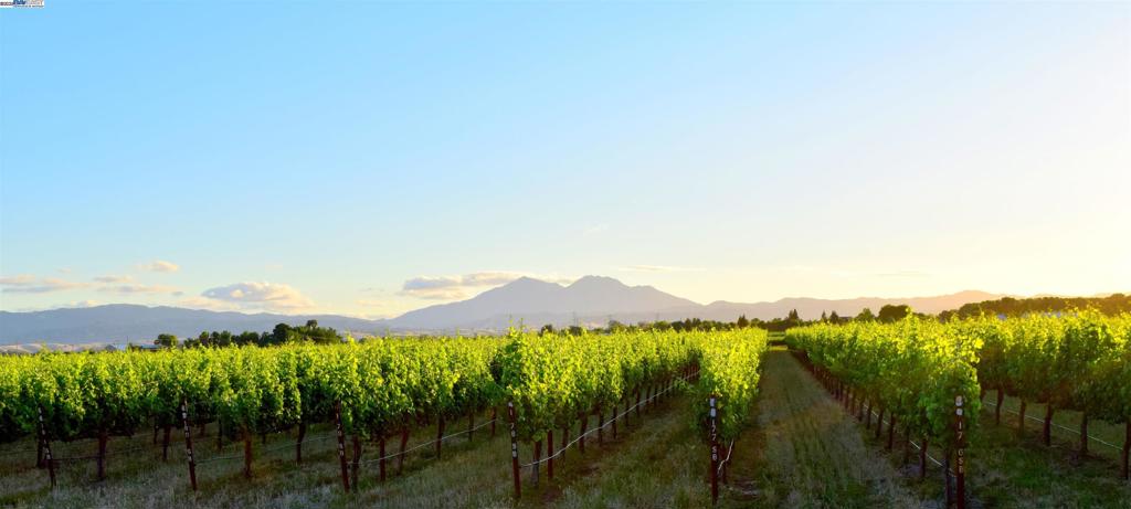 BRENTWOOD - Residential