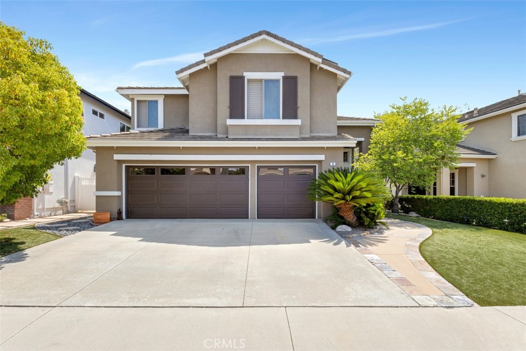 32 Rockrose