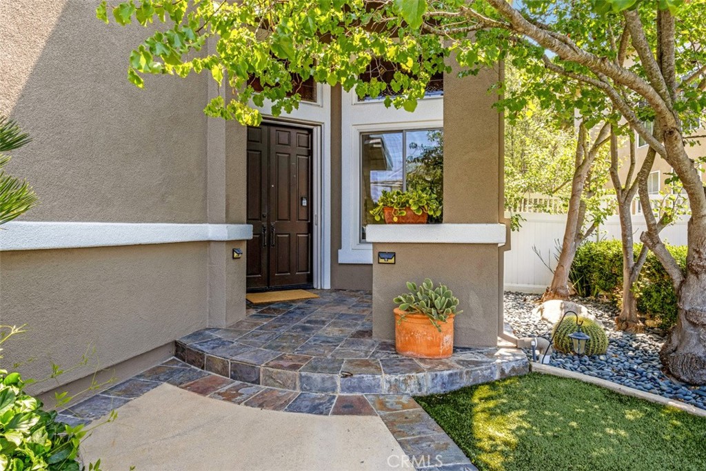 32 Rockrose