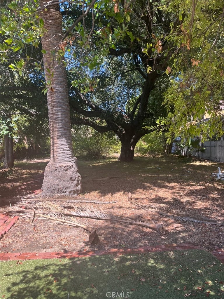 13029 Magnolia