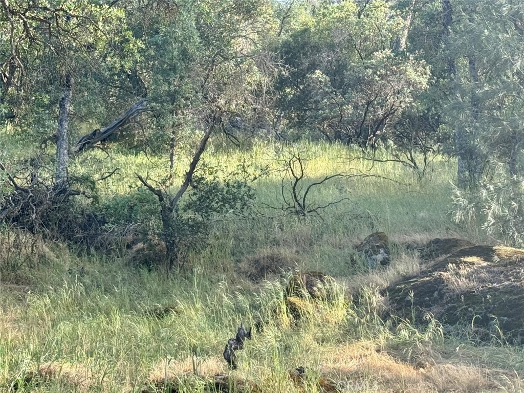 Photo 1 of 3 — 1 Road 400, Coarsegold, CA 93614