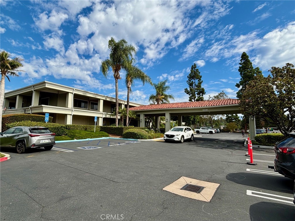 The Forest - Residential Lease