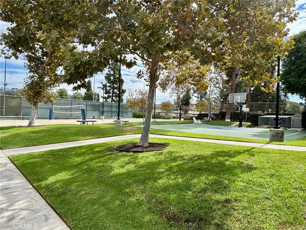 The Forest - Residential Lease