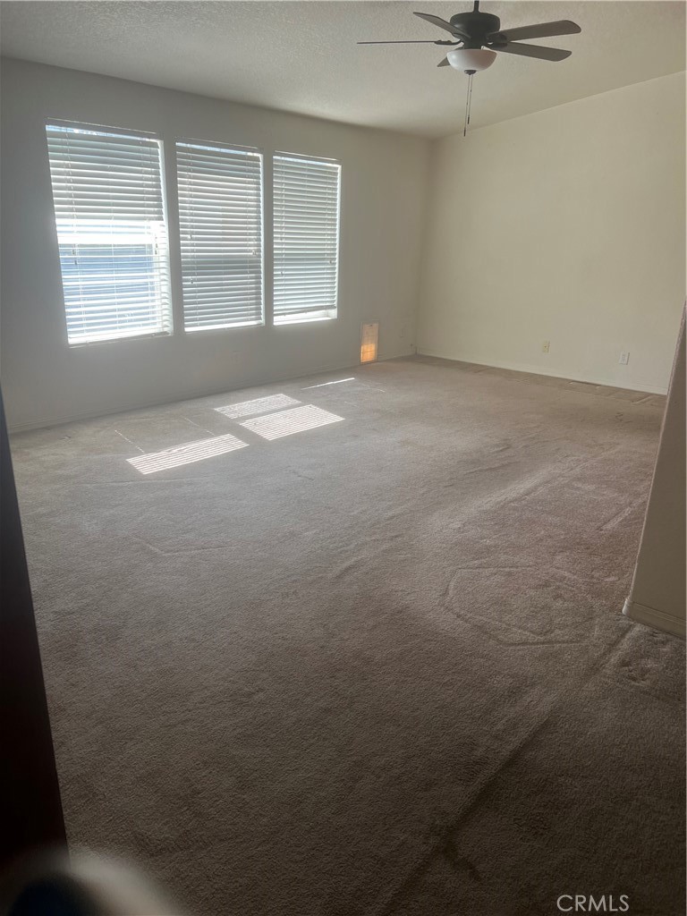 26049 Phoenix Palm Drive