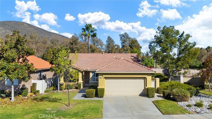 Peaceful evenings in the patio and all the amenities you could want! This charming single story home is located in The Oasis 55+ community featuring a clubhouse with more than 90 clubs and activities! The open concept home offers a spacious ensuite primary bedroom with a walk in closet and a guest bedroom and bathroom plus lots of storage space and tons of natural light. The large kitchen has a pantry and kitchen island plus a dining room area which opens to the spacious living room. The backyard is clean and perfect to enjoy your evenings looking at the hills. There are no neighbors behind and the block wall provides extra privacy will the iron fencing allows more space for your plants and greenery. There is a dog run or side patio with artificial turf and an oversized garage with built in cabinets and a water softener system. Your perfect forever home is here!