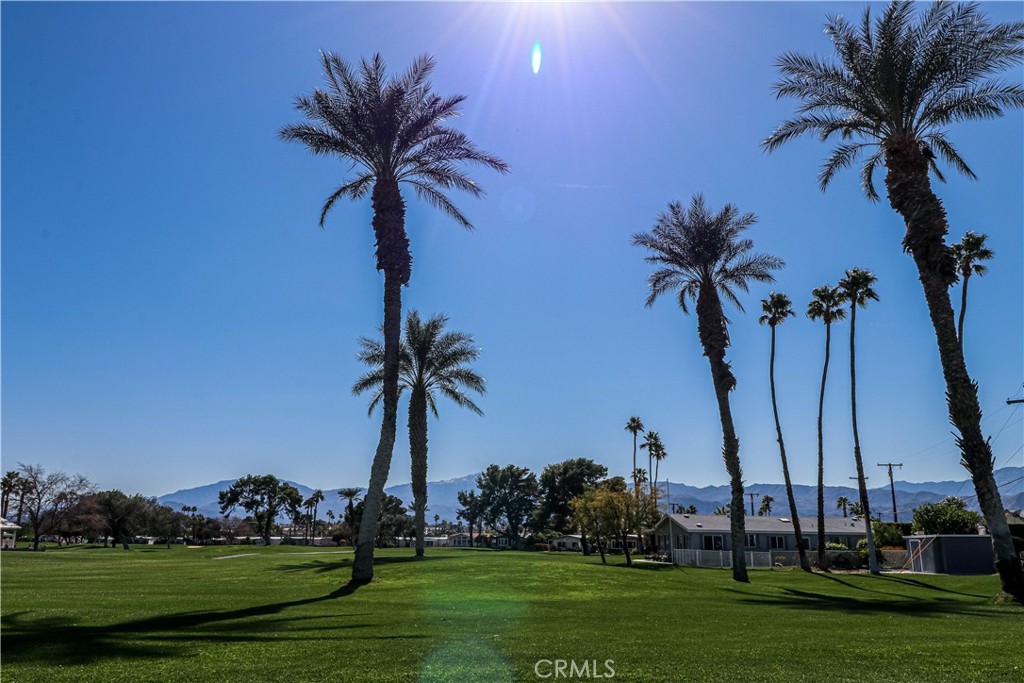 Tri Palm Estates (32005) - Land