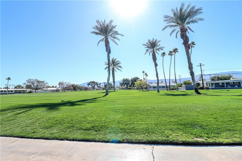 Tri Palm Estates (32005) - Land