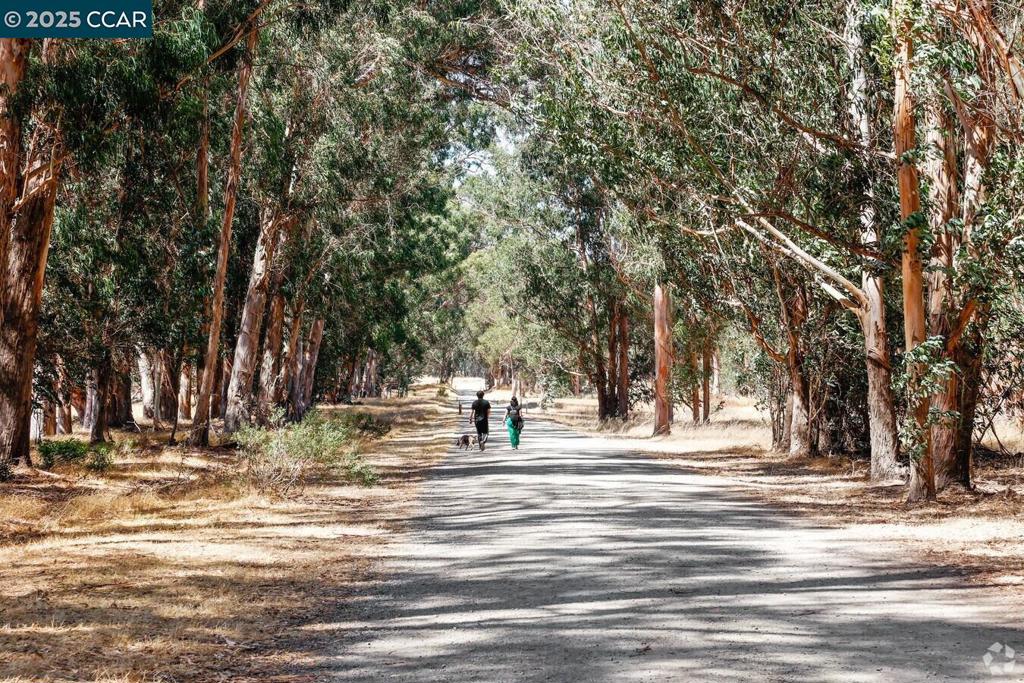 SAN PABLO HILLS! - Residential