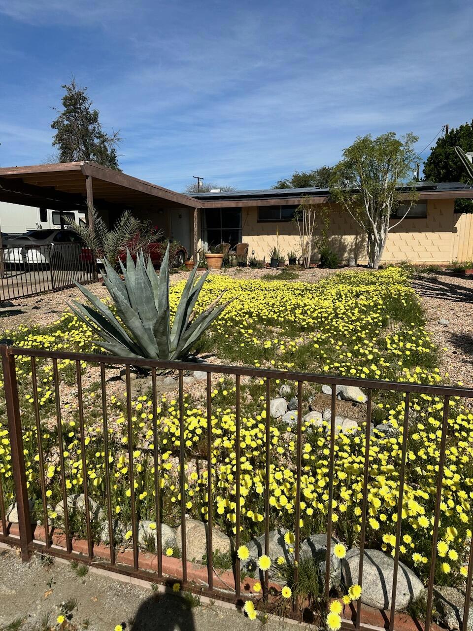 Dream Homes - Residential