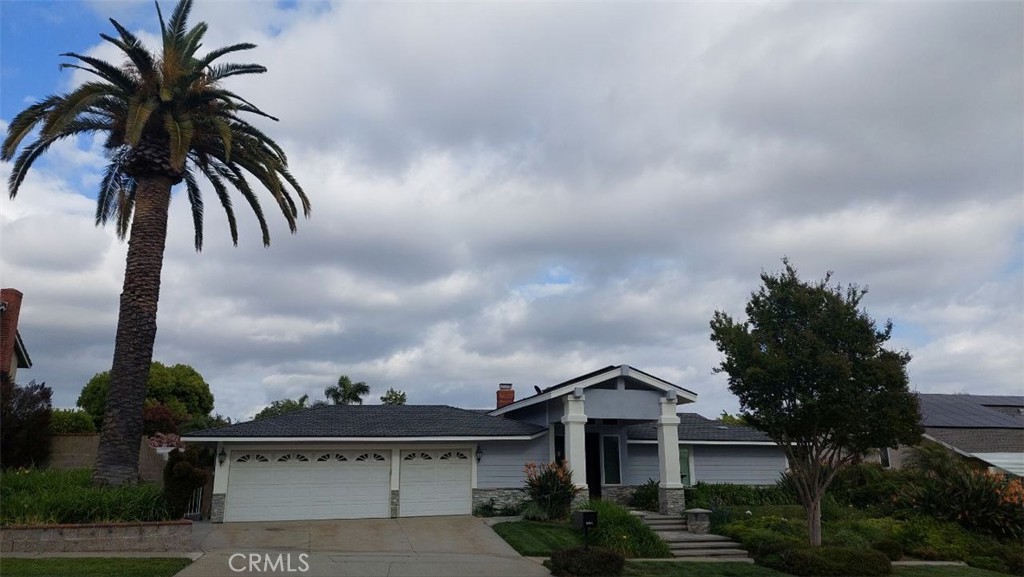 6361 Cameo Street