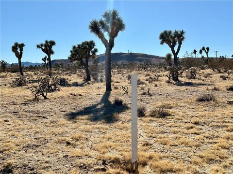 Photo of 4726 Paradise View Road, Yucca Valley, CA 92284 (MLS # JT24229658)