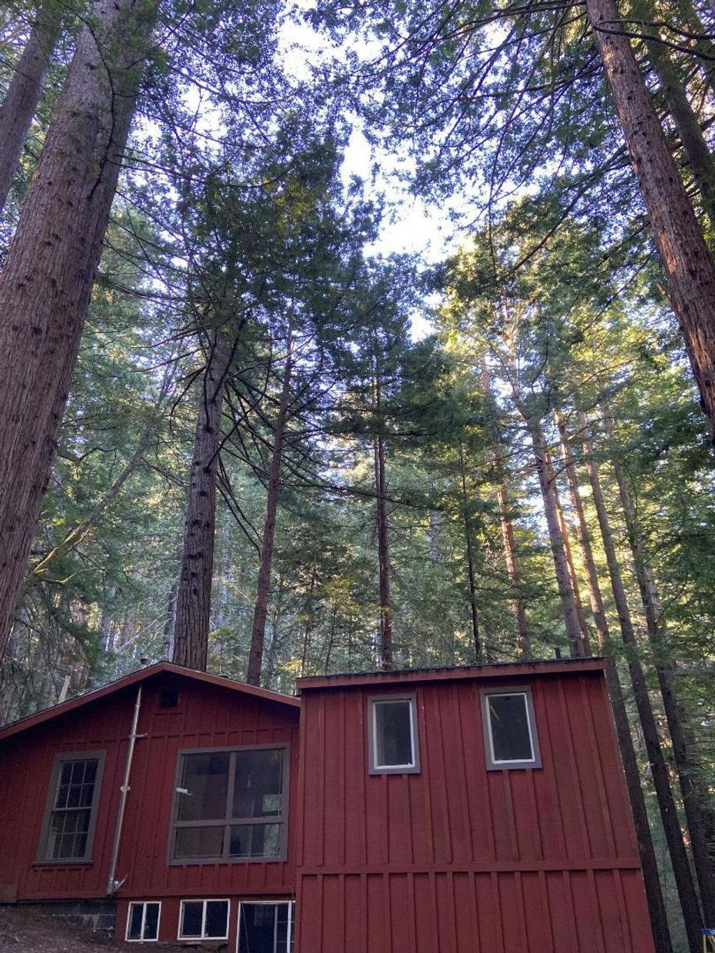 Photo of 155 Native Sons Road, Woodside, CA 94062 (MLS # ML82038622)