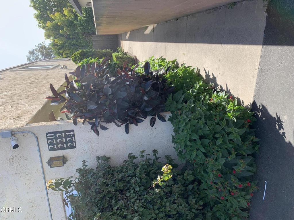Properties 220 S Palm Avenue