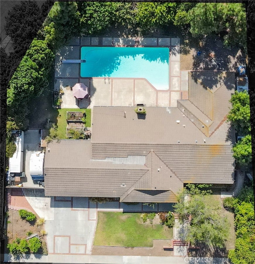 2906 Madonna