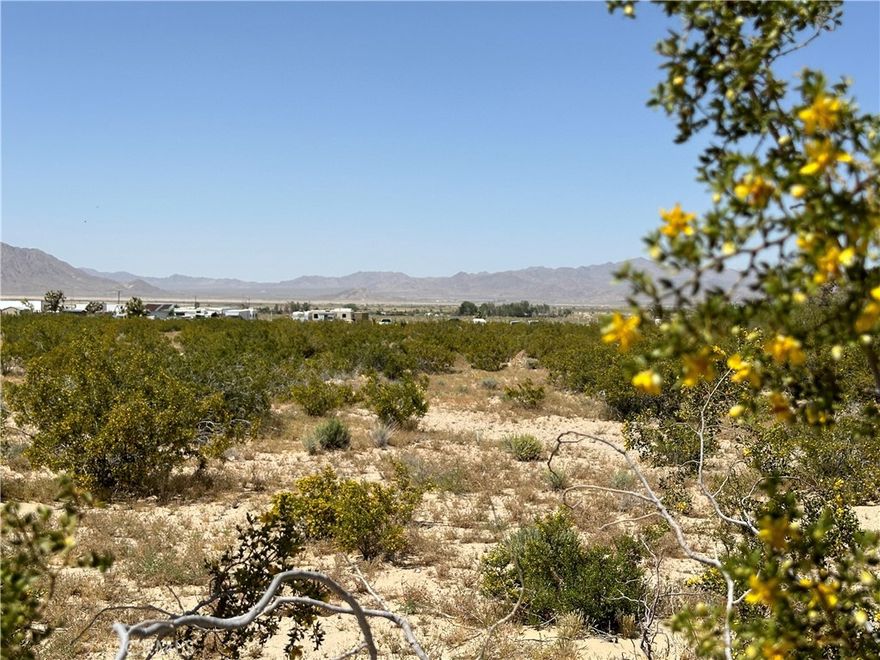 FLAT 4.7-acre land! Existing Well on site! Electricity poles on the road! The lot is surrounded by established residences on the left, right, front, and rear sides. This lot in Lucerne Valley with convenient access to paved roads and close proximity to the town center, where you will find stores and restaurants. The utility pole is located by the street, and the land includes an on-site well—see the attached permit for details regarding water access. With established residences next door and across the street, this parcel offers an excellent opportunity to build your future home or hold as a long-term investment. Its location and usability make it a desirable choice for buyers looking to invest in their future.