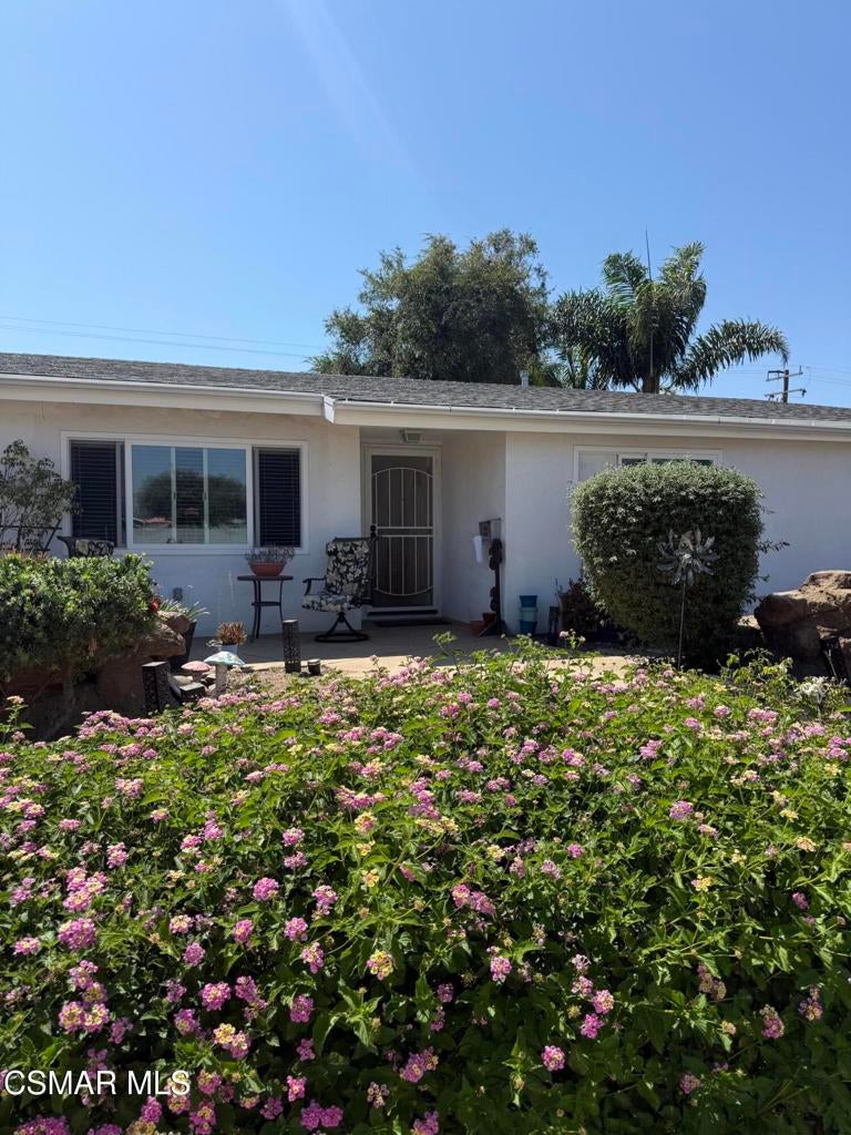 513 Jenny Drive