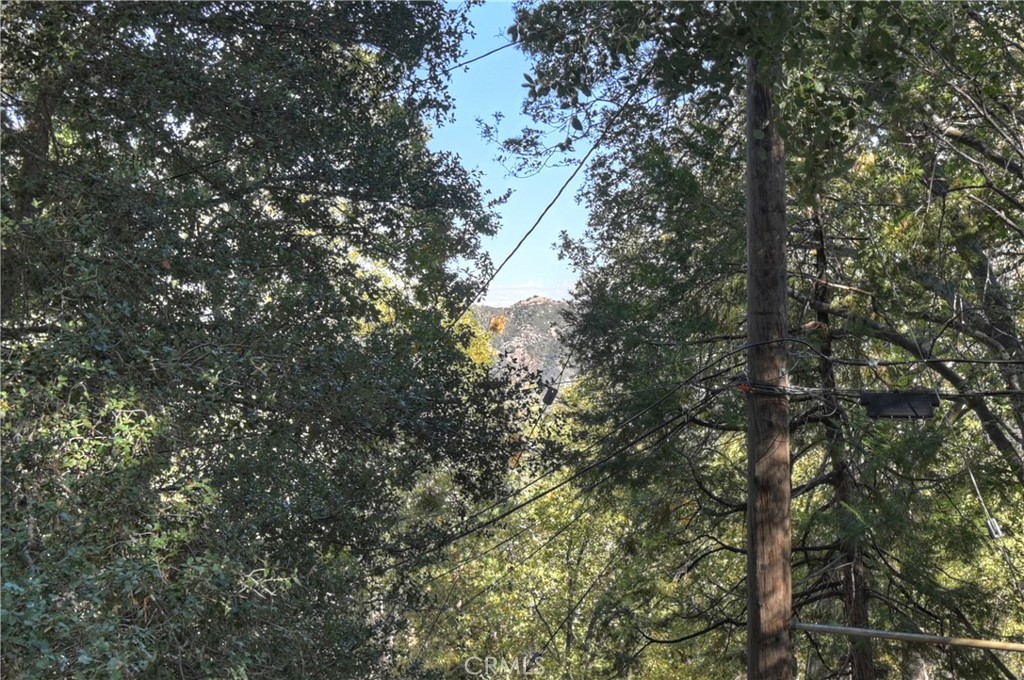 Mile High Park (MILE) - Residential