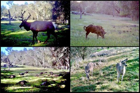 Tiny photo for 0 Gateway Drive, Paso Robles, CA 93446 (MLS # NS25080095)