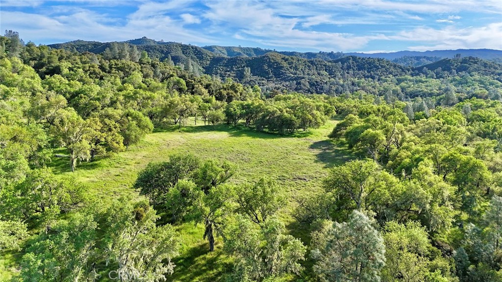 PR Lake Nacimiento(230) - Land