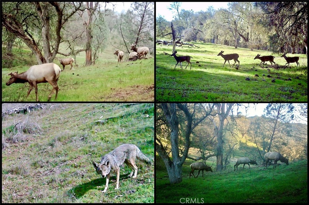 PR Lake Nacimiento(230) - Land