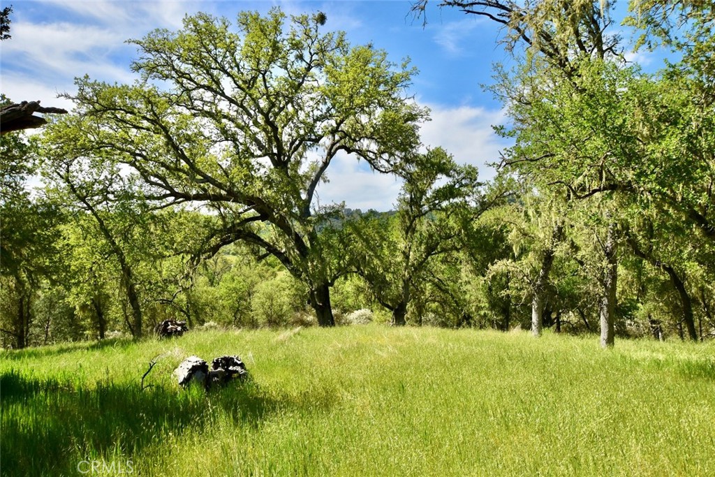 PR Lake Nacimiento(230) - Land