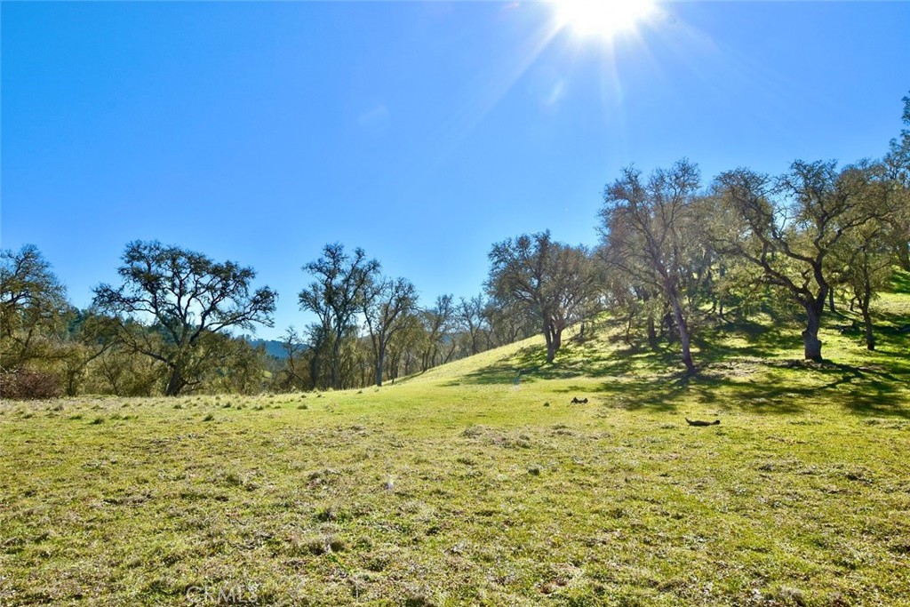 PR Lake Nacimiento(230) - Land