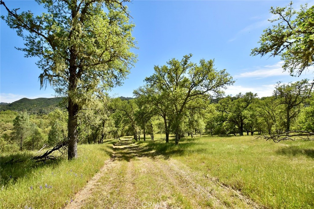 PR Lake Nacimiento(230) - Land