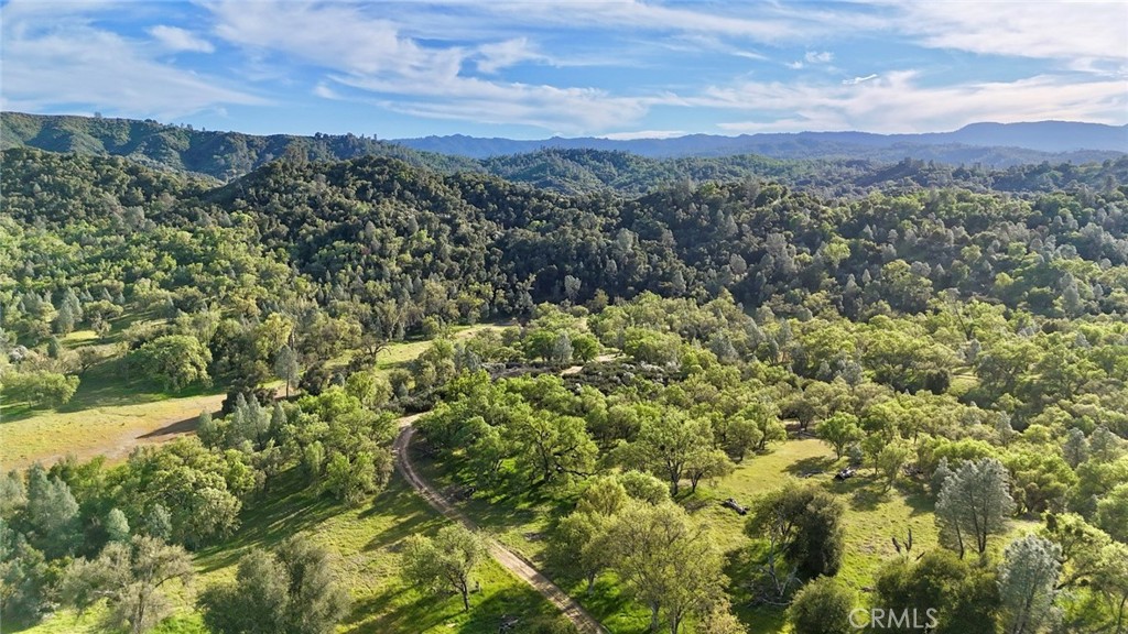 PR Lake Nacimiento(230) - Land