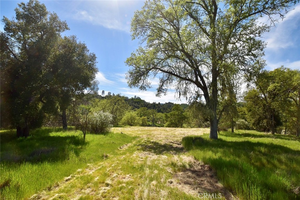 PR Lake Nacimiento(230) - Land
