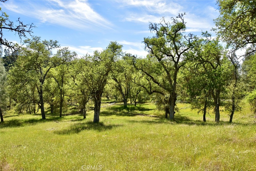 PR Lake Nacimiento(230) - Land