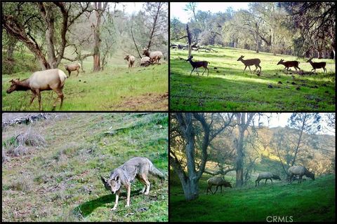 Tiny photo for 0 Gateway Drive, Paso Robles, CA 93446 (MLS # NS25080095)