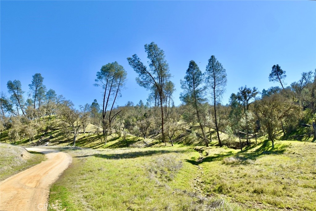 PR Lake Nacimiento(230) - Land