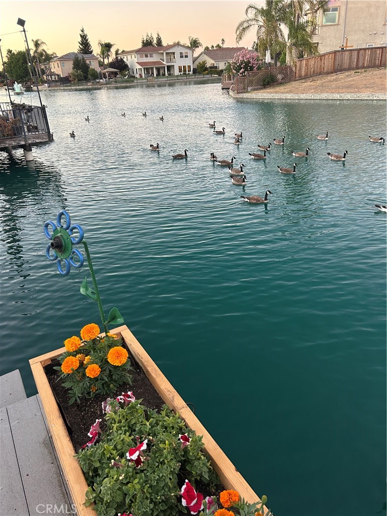 3340 Harbor